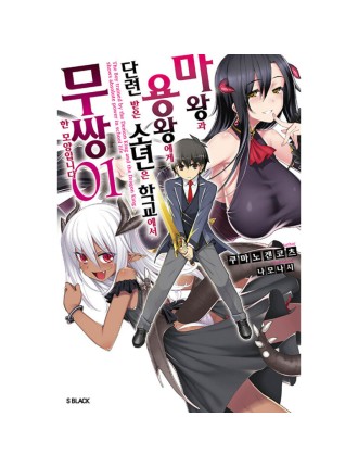 Best Seller The Boy Raised By The Demon Queen And The Dragon Queen - Light Novel Limited Stock