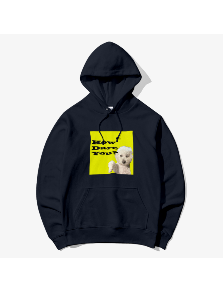 Best Seller Useless Precious - How Dare You Hooded Sweatshirt In Stock