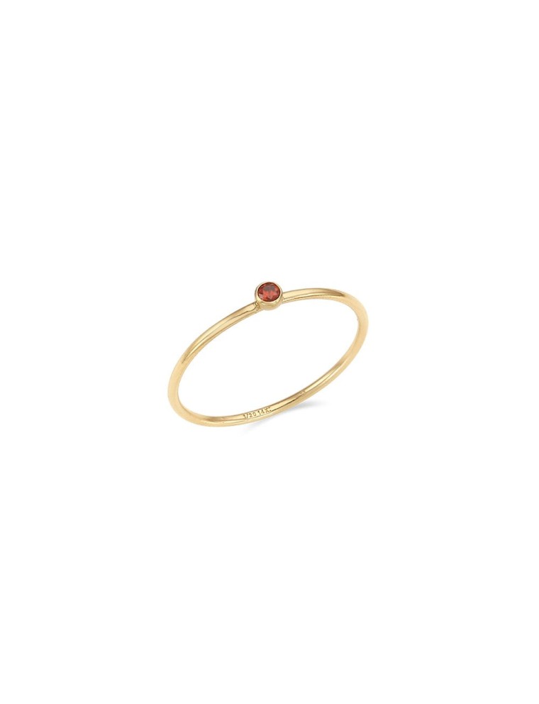 Best Seller CLUE - 14K Gold Filled Eternal Garnet Ring