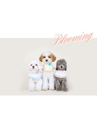 Best Seller ITSDOG - Pet Blooming Cape